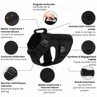 Ensemble des caractériqtique du harnais anti-traction wouftoy