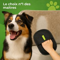 gant anti poils réutilisable et écologique le choix n°1 des maîtres