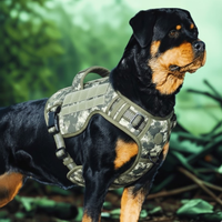 Hranais rotweiller militaire wouftoy