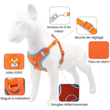 harnais petit chien Yorkshire descrption