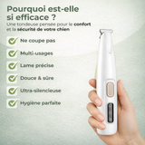 Tondeuse à patte pour chien wouftoy zenpattes sécurité et confort