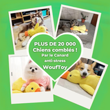 zenduck canard anti-stress wouftoy chiens comblés