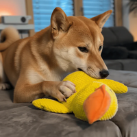 zenduck canard anti-stress wouftoy Shiba Inu