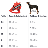 Guide des tailles harnais personalisé staff