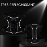 Harnais reflechissant chien promenade nocturne en foret