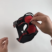 Harnais anti-traction prenium wouftoy GIF