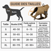guide des tailles harnais anti-traction personnalisé
