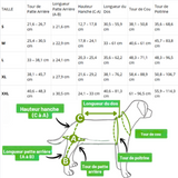 Guide des taille genouillère pour chien