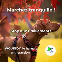 Marchez serainement harnais anti-traction wouftoy