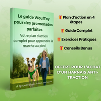 Guide wouftoy pour des promenades parfaites offert avec harnais anti-traction