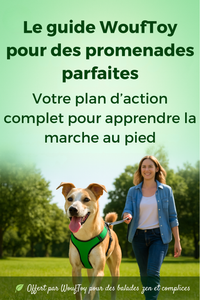 Guide wouftoy pour des promenades parfaites