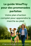 Guide wouftoy pour des promenades parfaites