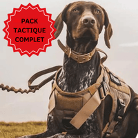 Meilleur harnais pour chien qui tire