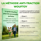 Harnais Tactique Chien