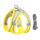 Harnais petit chien jaune
