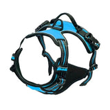 Harnais anti traction chien qui tire bleu