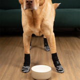 Chaussettes confortable labrador
