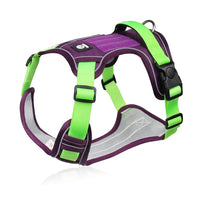 Harnais reflechissant pour chien vert et violet