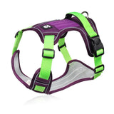 Harnais reflechissant pour chien vert et violet
