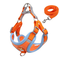 harnais pour petit chien style Yorkshire orange