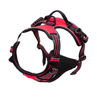 Harnais anti traction chien qui tire rouge