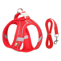Harnais petit chien rouge