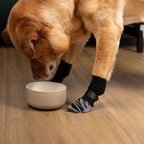 Labrador chaussettes confort