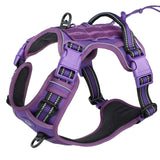Harnais tactique chien violet