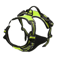 Harnais anti traction chien qui tire vert