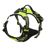 Harnais anti traction chien qui tire vert