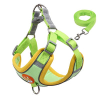 harnais pour petit chien style Yorkshire vert