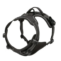 Harnais anti traction chien qui tire noir