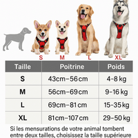 guide taille Harnais anti traction chien qui tire