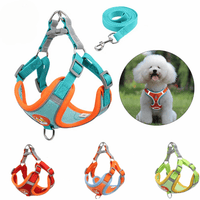 harnais petit chien Yorkshire caniche