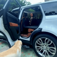 Protège-Voiture Renforcé WoufToy Anti-Affaissement suv