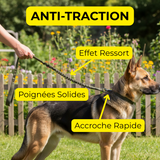 Laisse anti traction effet ressort poignées solides et accroche rapide