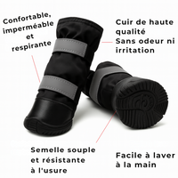 Caractéristiques bottes pour chien hiver