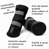 Caractéristiques bottes pour chien hiver