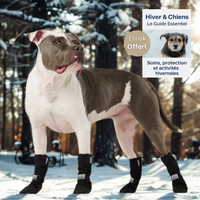 Bottes d'hiver pour chien étanches ebook offert