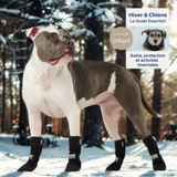 Bottes d'hiver pour chien étanches ebook offert