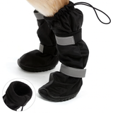 Bottes pour Chien Hiver Étanches (eBook offert)