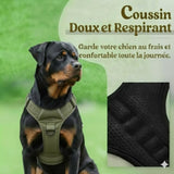 harnais militaire respirant et confortable wouftoy