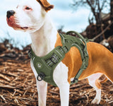 Harnais tactique wouftoy vert staff